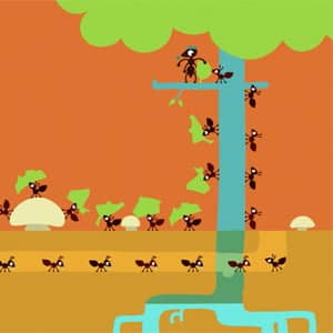 مورچه خلاق (Creative Ant)
